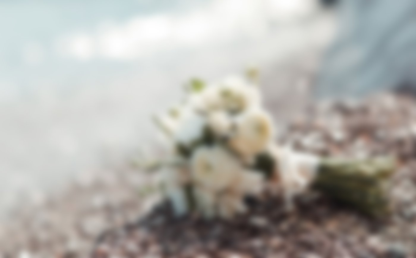 Modern Funeral Parlour with all Facilities