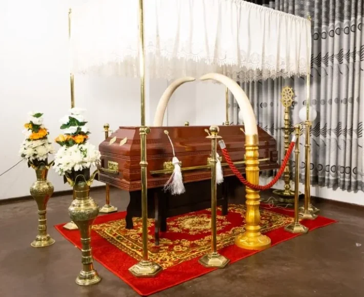 IMG_4740-min-1024x683